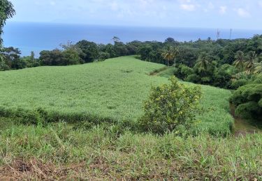 Tour Wandern Macouba - Desiles - Grand'Riviere - Photo