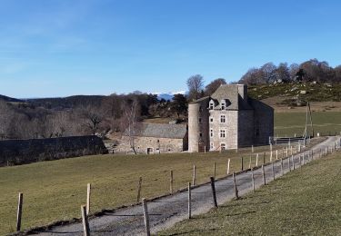 Excursión Bici eléctrica Neuvéglise-sur-Truyère - la Chaldette - Photo