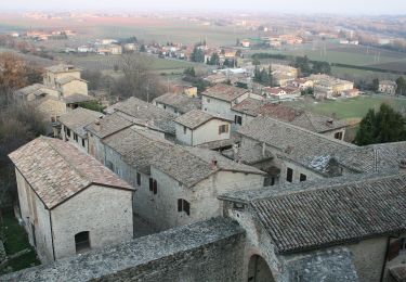 Tour Zu Fuß Langhirano - Bivio 700 di Strognano - Casatico - Torrechiara - Photo