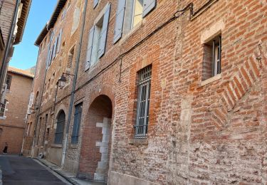 Tour sport Albi - Divagations en ville d’Albi - Photo