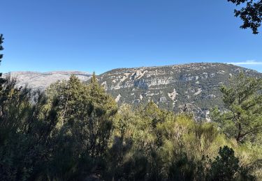 Trail Walking Mons - Mons : montagne des Louquiers - Photo