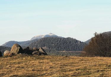 Trail Walking Aydat - Aydat_Combegrasse_Espinasse - Photo