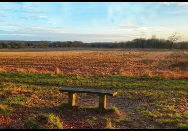 Tocht Te voet Broadland - Aylsham Circular - Photo