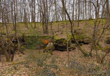 Trail Walking Châteaufort - Villiers le bacle - Photo