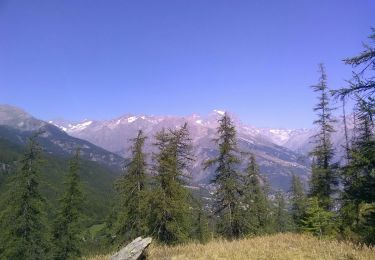 Tocht Mountainbike Les Vigneaux - camping le couroumba la Pousterle - Photo