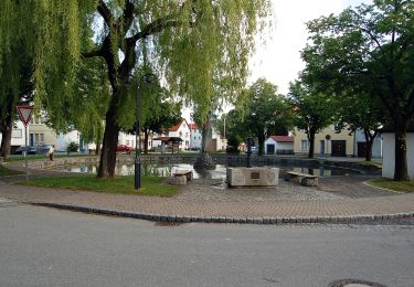 Excursión A pie Gomadingen - Zugangsweg - Markungsgrenze Strassberg - Frohnstetten - Photo