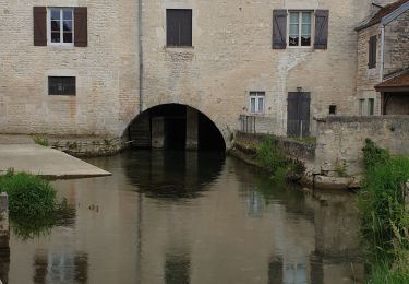 Trail Walking Arc-en-Barrois - Rando Arc en Barrois 52 - Photo