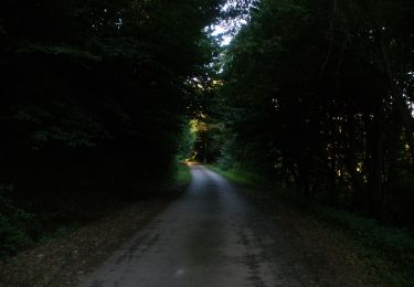 Randonnée A pied Dédestapolcsány - Verebec-tető tanösvény - Photo