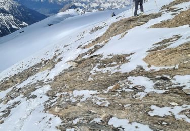 Trail Touring skiing Saint-Véran - pointe des marcelettes  - Photo