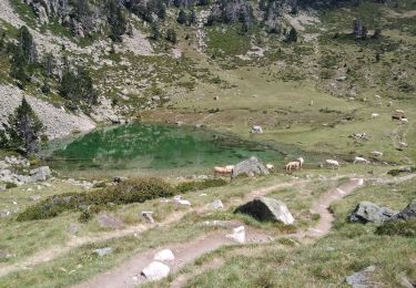 Excursión Senderismo Saint-Lary-Soulan - 2020-07-30 : col de portet - lac du port de bielh - Photo