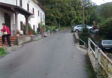 Excursión A pie Careggine - Garfagnana Trekking - Tappa 3b - Photo