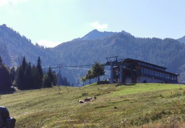 Excursión A pie Marktgemeinde Fieberbrunn - [12] Fieberbrunn Jägersteig - Photo