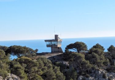 Trail Walking Gruissan - Gruissan La Chapelle des Auzils Marche à pied - Photo