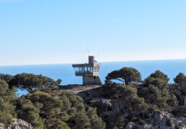 Excursión Senderismo Gruissan - Gruissan La Chapelle des Auzils Marche à pied - Photo