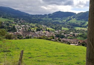 Trail Walking Theys - TOUR DE LA VILLETTE PAR LE PLAN DE LA MALADE - Photo