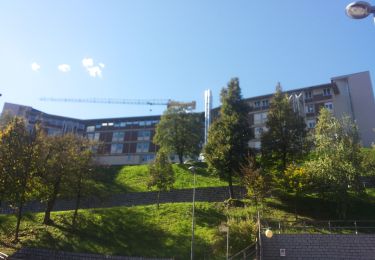 Tour Zu Fuß Tione di Trento - Sentiero dei siori - Photo