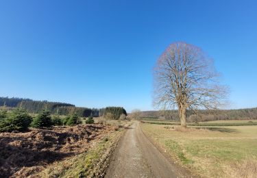 Randonnée Marche Bouillon - rando vivy 14-02-2023 - Photo