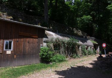 Trail Walking Wattwiller - Wattwiller-Cantine Zeller-Hirtzenstein - Photo