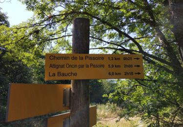 Tour Wandern Attignat-Oncin - mont grêle par attignat - Photo