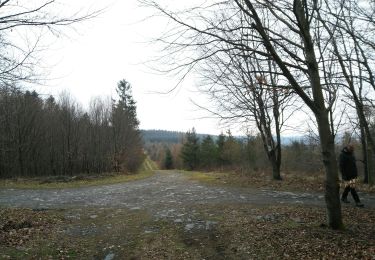 Tour Wandern La Roche-en-Ardenne - La Roche n 8 - Photo