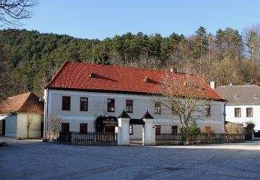 Tocht Te voet Gemeinde Furth an der Triesting - Hafnerberg - Furth ad Triesting - Photo