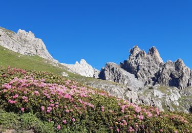 Randonnée Marche Névache - Cerces  - Photo