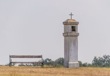 Percorso A piedi Gemeinde Mistelbach - Kettlasbrunn: Rundwanderweg Satzer Hölzl - Photo