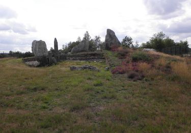 Percorso A piedi Saint-Just - Le Ruisseau - Photo