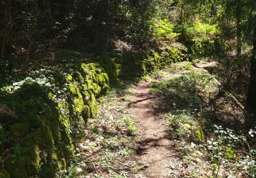 Tour Wandern Saint-Michel-de-Chabrillanoux - 07 st Michel de chabrillanoux 19.05.24 - Photo