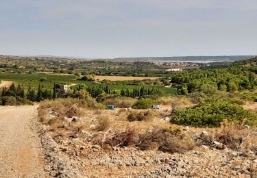 Trail Walking Fitou - fitou peage - Photo