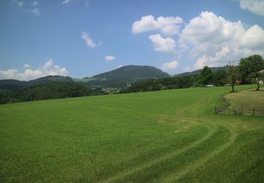 Tour Zu Fuß Peggau - Wanderweg 11 - Photo