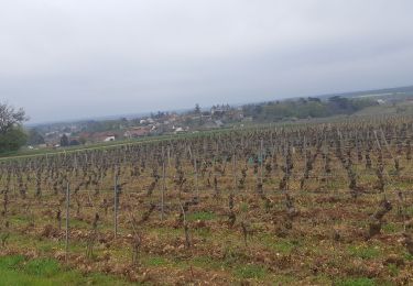 Randonnée Marche Mellecey - Mellecey Les amis d'Albert 14 km - Photo