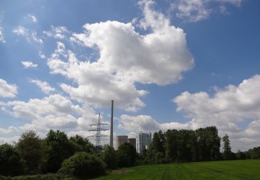 Randonnée A pied  - Bockum-Hövel Rundweg A7 - Photo