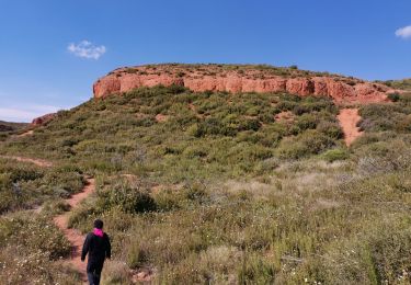 Tour Wandern Vitrolles - walbacol - Photo