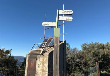 Tour Wandern Cuers - Barres de Cuers depuis La Foux - Photo