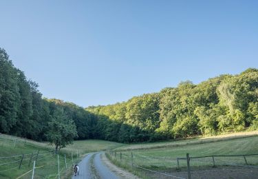 Trail On foot Litzendorf - Rund um den Ellerberg - Photo