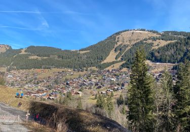 Trail Walking La Chapelle-d'Abondance - La Chapelle -Linga - Photo
