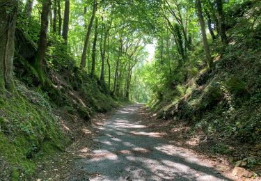 Tocht Stappen Fontrieu - Bout du petit train - Photo