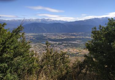 Trail Walking Saint-Pierre-d'Albigny - Odile rouge et bleu - Photo