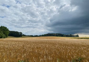 Tour Wandern Tervuren - Le long du Voer - Photo