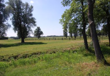 Tour Zu Fuß Wassenaar - Rood - Photo