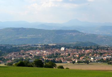 Tour Wandern Vic-le-Comte - Vic_le_Comte_Bassin_2 - Photo