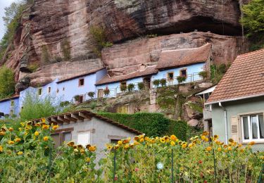 Trail Horseback riding Ernolsheim-lès-Saverne - 2019-10-10 Rando CVA Ernolsheim vers Moderfeld - Photo