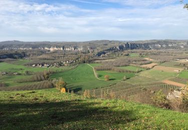 Tour Wandern Floirac - Floirac - Photo