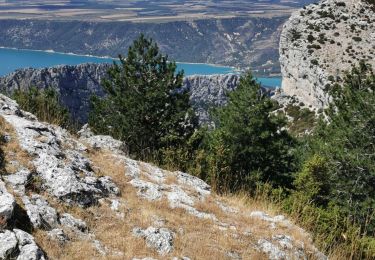 Tour Wandern La Palud-sur-Verdon - 2020 08 19 Trigance  - Photo