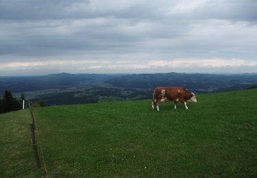 Percorso A piedi Podvelka - Za srce (Kapla) - Photo