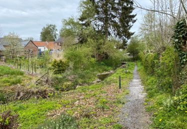 Tour Wandern Quévy - Quevy le petit 15 km  - Photo