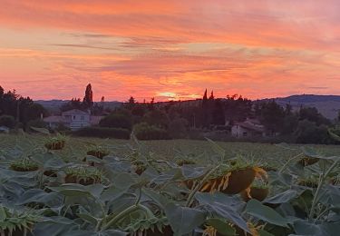 Randonnée Marche Lasserre-Pradère - LASSERE-PRADERE rando nocturne  - Photo
