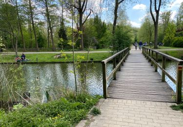 Trail Walking Mechelen - Malines ouest 18,3 km - Photo