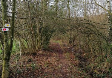 Randonnée Marche Ferrières - Promenade de Burnontige - Photo